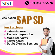 Shresta Trainings- SAP SD Training Institute in Hyderabad, US, UK, Canada